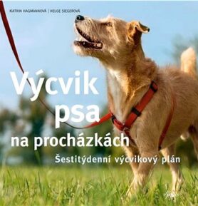 Výcvik psa na procházkách: Šestitýdenní tréninkový plán