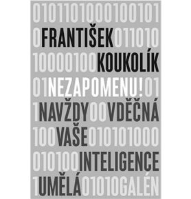 Nezapomenu!: Navždy vděčná vaše inteligence umělá