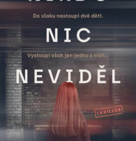 Nikdo nic neviděl