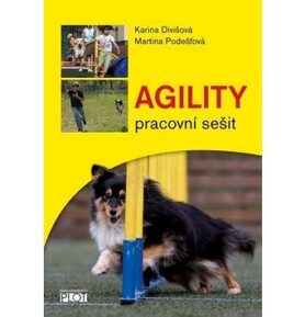 Agility Pracovní sešit