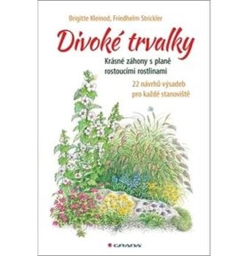 Divoké trvalky: Krásné záhony s planě rostoucími rostlinami