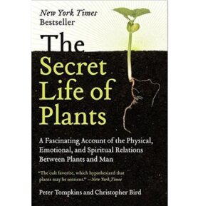 The Secret Life of Plants: A Fascinating Account of the Physical, Emotional, and Spiritual Relations
