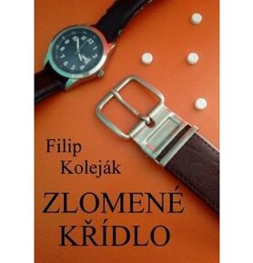 Zlomené křídlo