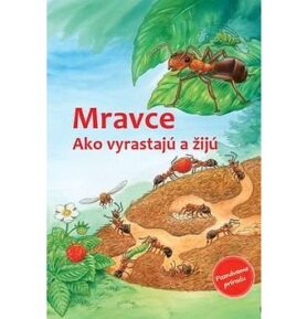 Mravce: Ako vyrastajú a žijú
