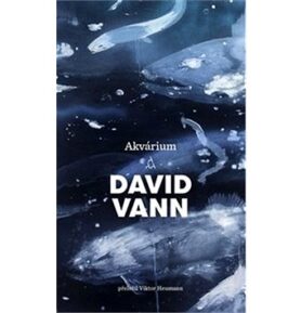 Akvárium: Aquarium