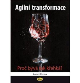 Agilní transformace: Proč bývá tak křehká?