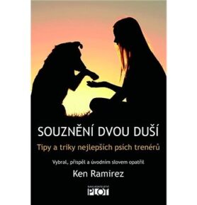 Souznění dvou duší: Tipy a triky nejlepších psích trenérů