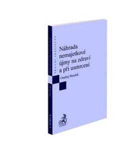 Náhrada nemajetkové újmy na zdraví a při usmrcení