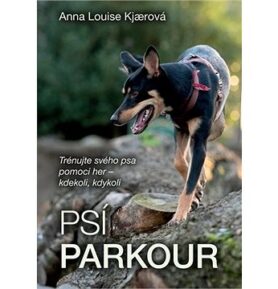 Psí parkour: Trénujte svého psa pomocí her - kdekoli, kdykoli