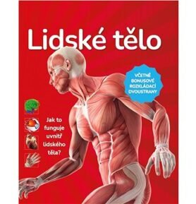 Lidské tělo