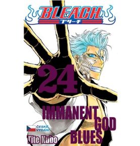 Bleach 24: Immanent God blues