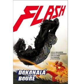Flash Dokonalá bouře