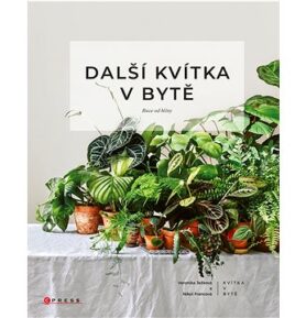 Další kvítka v bytě: Ruce od hlíny