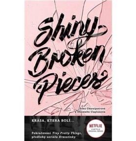 Shiny Broken Pieces: Krása, která bolí ...