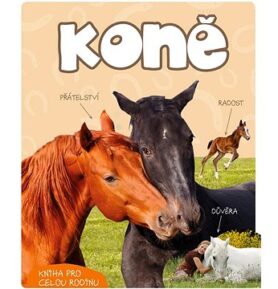 Koně