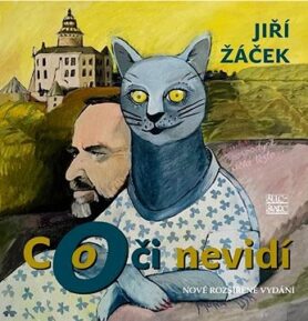 Co oči nevidí