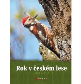 Rok v českém lese