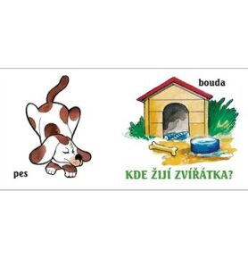 Kde žijí zvířátka?