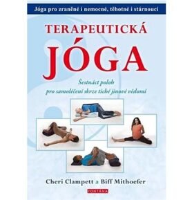 Terapeutická jóga: Šestnáct poloh pro samoléčení skrze tiché jinové vědomí