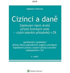 Cizinci a daně