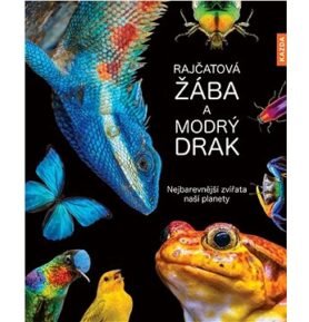 Rajčatová žába a modrý drak: Nejbarevnější zvířata naší planety