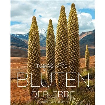 Blüten der Erde