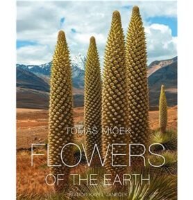 Flowers of the Earth