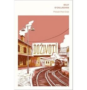 Doživotí