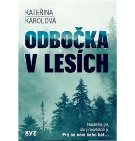 Odbočka v lesích