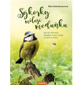 Sýkorky milují meduňku: Jak do zahrady přilákat hmyz, ptáky a další zvířata