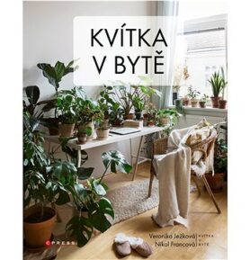 Kvítka v bytě