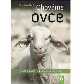 Chováme ovce: ideální zvířata k domu a na dvůr