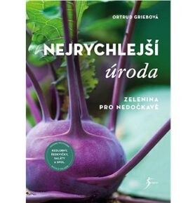 Nejrychlejší úroda: Zelenina pro nedočkavé