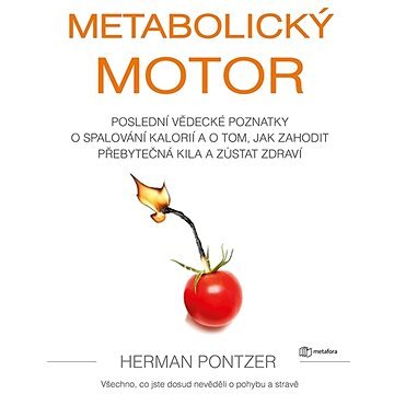 Metabolický motor