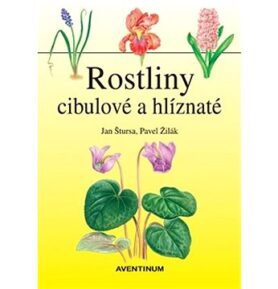Rostliny cibulové a hlíznaté
