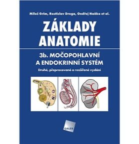 Základy anatomie 3b.: Močopohlavní a endokrinní systém