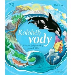 Koloběh vody: Fascinující proměny ve vodní říši