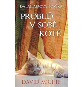 Dalajlamova kočka Probuď v sobě kotě