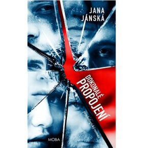 Dokonalé propojení: Psychologický román