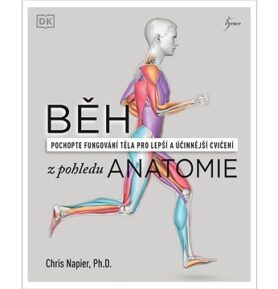 Běh z pohledu anatomie: pochopte fungování těla pro lepší a účinější cvičení