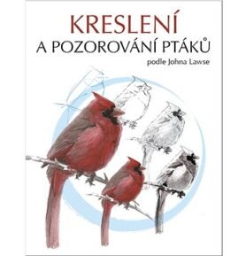 Kreslení a pozorování ptáků