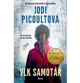 Vlk samotář: vlk je silný tak jak jeho smečka