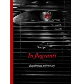 In flagranti: Requiem za moje hříchy