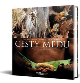 Cesty medu
