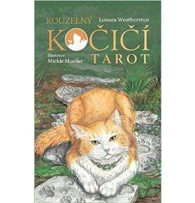 Kouzelný kočičí tarot: Kniha a 78 karet