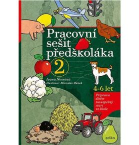 Pracovní sešit předškoláka 2