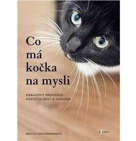 Co má kočka na mysli: Obrazový průvodce kočičích gest a chování