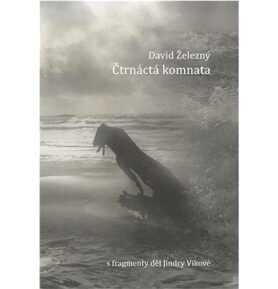 Čtrnáctá komnata: S fragmenty děl Jindry Vikové