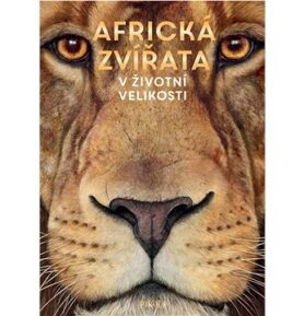 Africká zvířata V životní velikosti