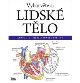 Vybarvěte si lidské tělo: Anatomie – 215 ilustrací s popisky